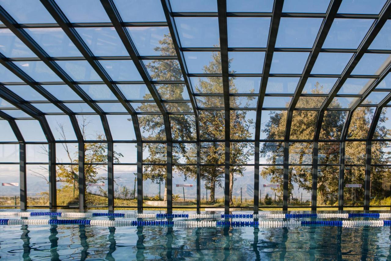 Tsinandali Estate, A Radisson Collection Hotel Eksteriør bilde Swimming pool with a retractable roof